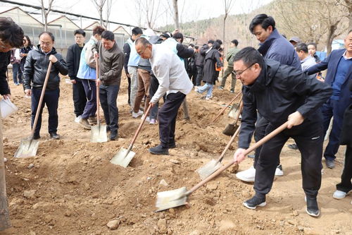 山东工艺美术学院开展 十年树木百年树人 五十风华薪火传承 建校50周年纪念林种植活动